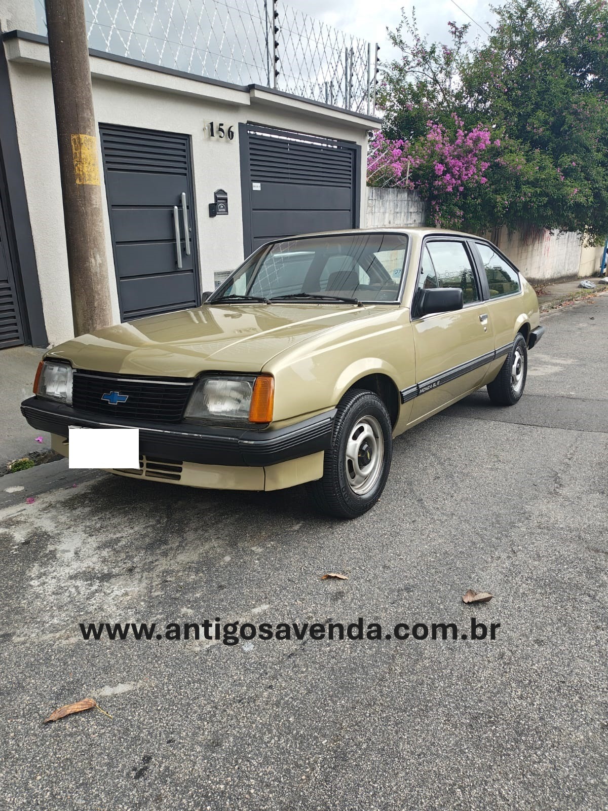 Monza Hatch SL/E 1983 - Contato 11 981861517 c/ Marcos
